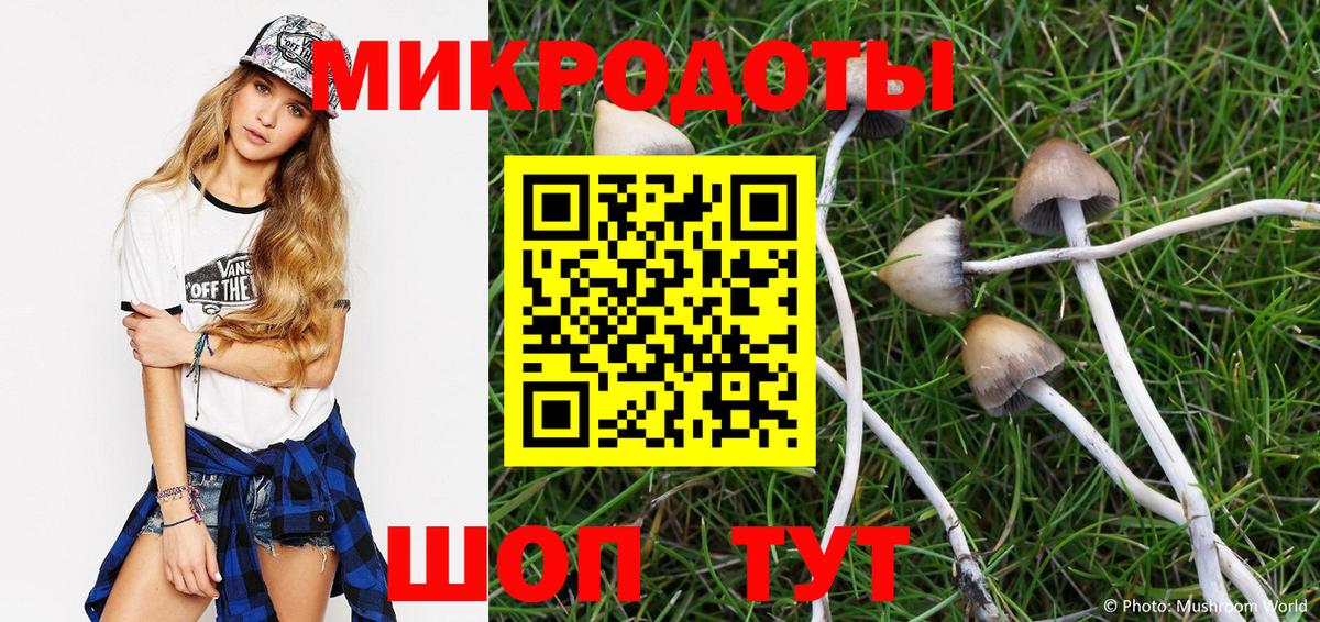 Алексин  Галлюциногенные грибы MAGIC MUSHROOMS  Псилоцибиновые грибы Psilocybe  Вход с VPN 